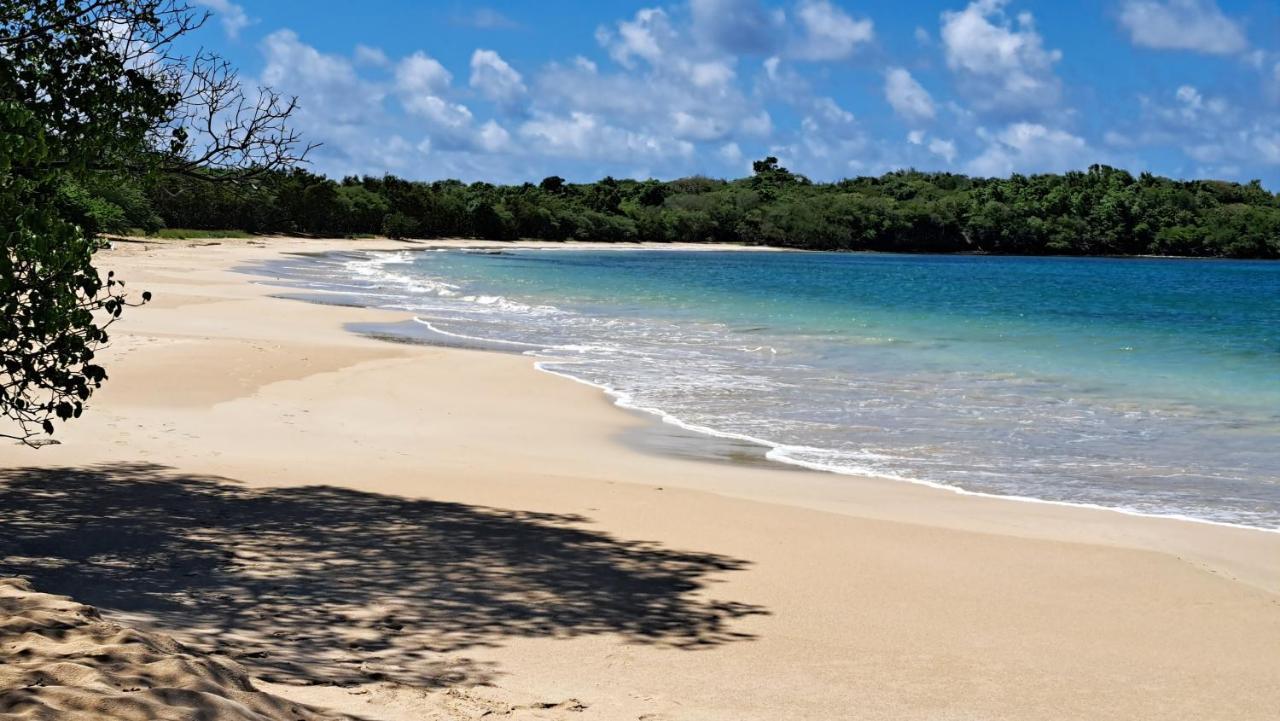 Studio Plage De L'Anse Caritan Sainte-Anne Extérieur photo